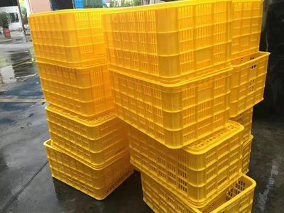 20號塑料制品 聚丙烯（PP）的廣泛應用與環保挑戰