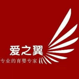 大連產(chǎn)后康復(fù)培訓(xùn)指南 課程、選擇與機(jī)構(gòu)推薦